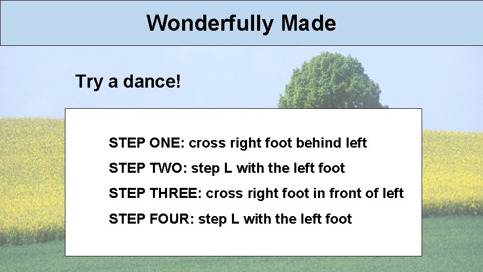 Wonderfully Made Try a dance! STEP ONE: cross right foot behind left STEP TWO: