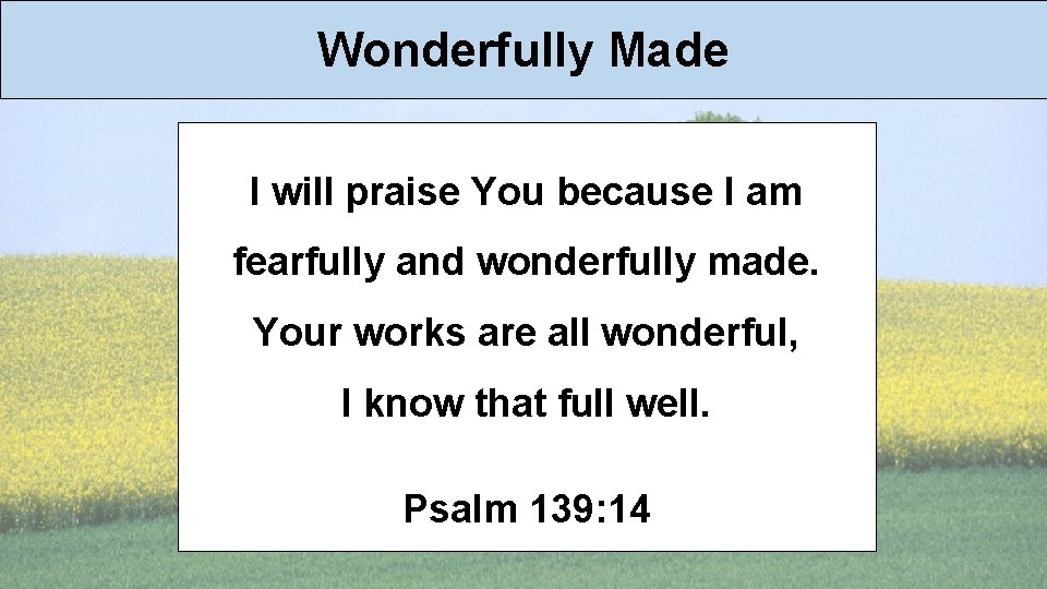 Wonderfully Made I will praise You because I am fearfully and wonderfully made. Your