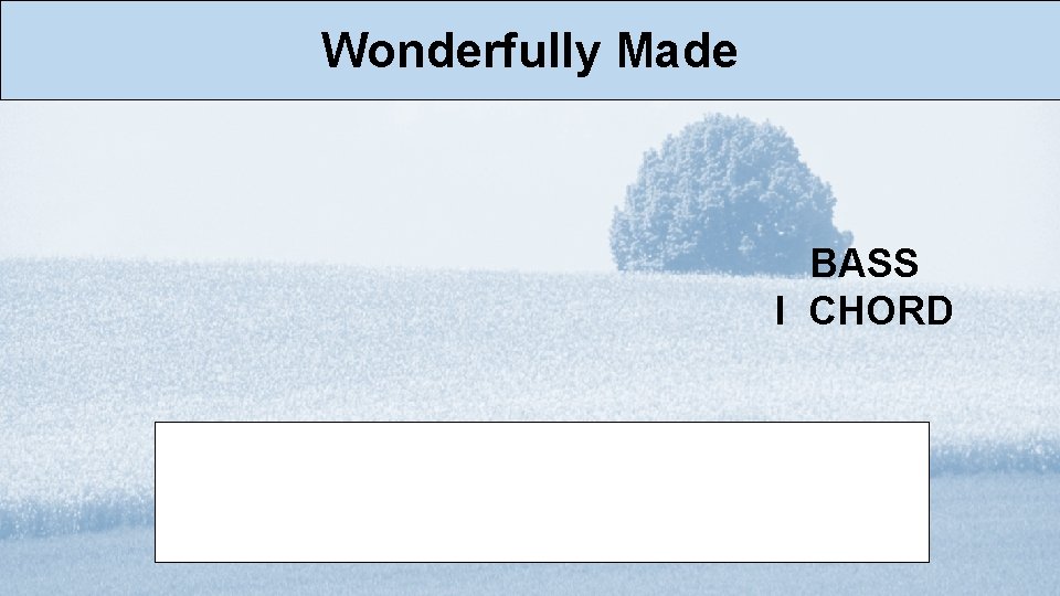 Wonderfully Made BASS I CHORD 