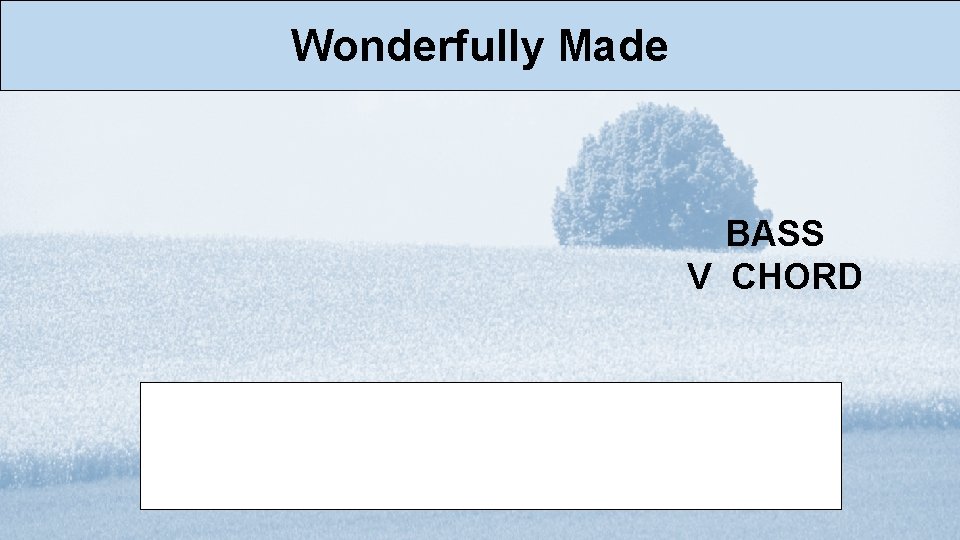 Wonderfully Made BASS V CHORD 