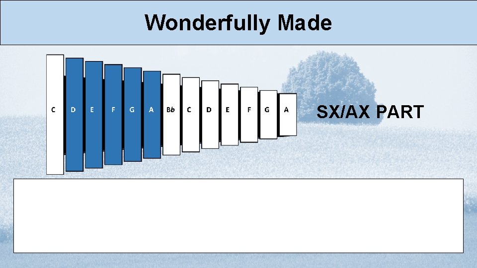 Wonderfully Made SX/AX PART 