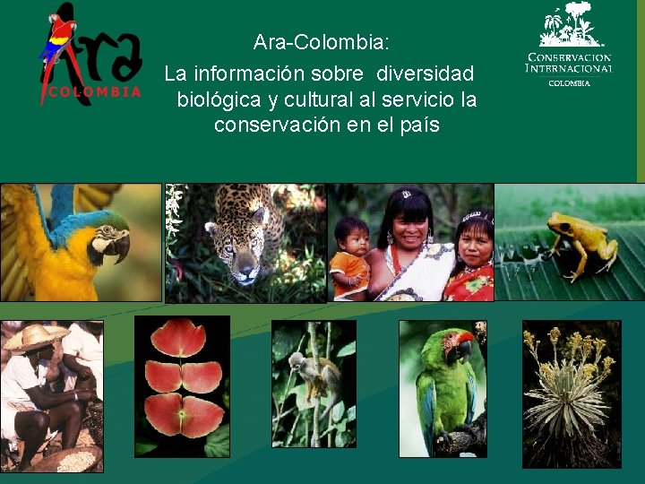 Ara-Colombia: La información sobre diversidad biológica y cultural al servicio la conservación en el