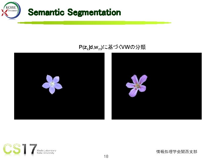 Semantic Segmentation P(zk|d, wm)に基づくVWの分類 情報処理学会関西支部 www. ***. com 18 
