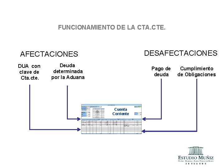 FUNCIONAMIENTO DE LA CTA. CTE. DESAFECTACIONES DUA con clave de Cta. cte. Deuda determinada FUNCIONAMIENTO DE LA CTA. CTE. DESAFECTACIONES DUA con clave de Cta. cte. Deuda determinada