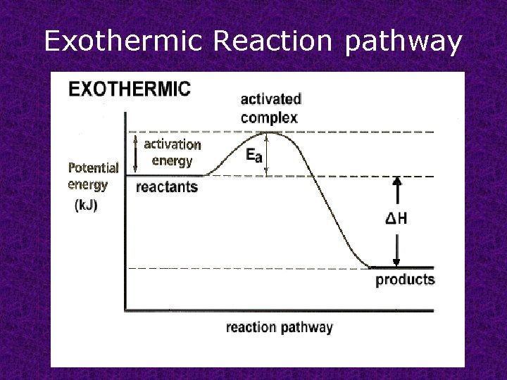 Exothermic Reaction pathway 