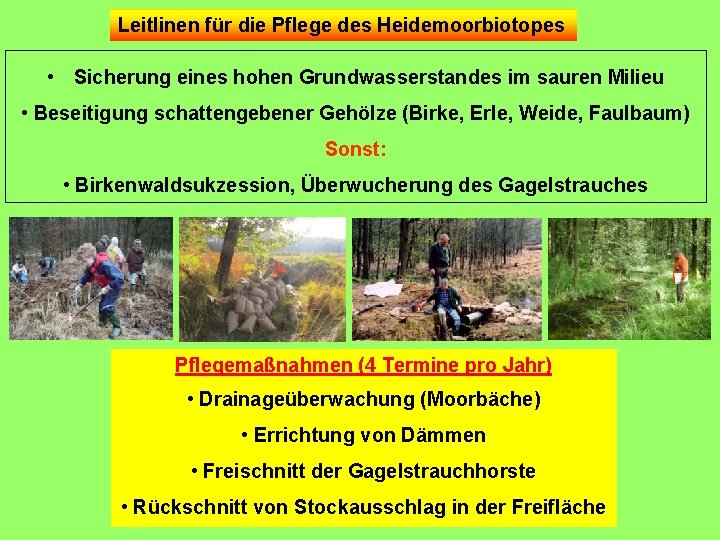 Leitlinen für die Pflege des Heidemoorbiotopes • Sicherung eines hohen Grundwasserstandes im sauren Milieu