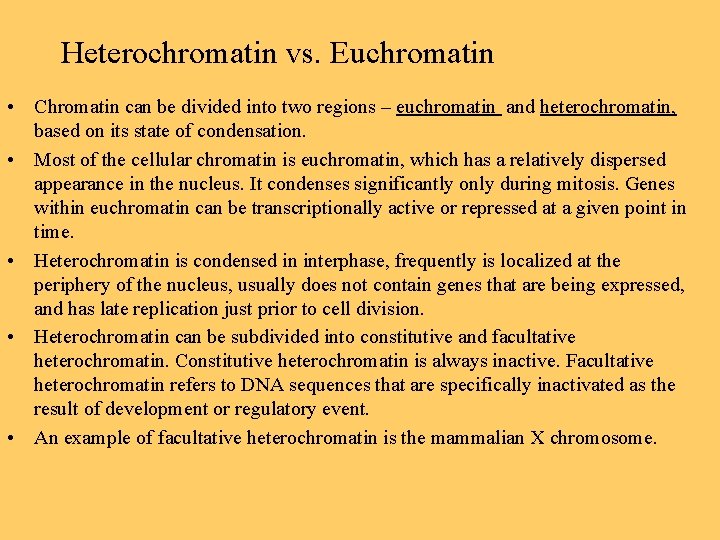 Heterochromatin vs. Euchromatin • Chromatin can be divided into two regions – euchromatin and
