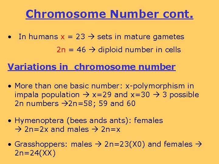Chromosome Number cont. • In humans x = 23 sets in mature gametes 2