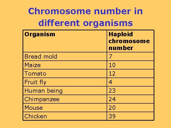 Chromosome number in different organisms Organism Bread mold Haploid chromosome number 7 Maize Tomato