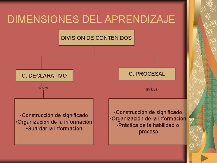 DIMENSIONES DEL APRENDIZAJE DIVISIÒN DE CONTENIDOS C. DECLARATIVO incluye • Construcción de significado •