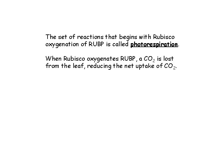 The set of reactions that begins with Rubisco oxygenation of RUBP is called photorespiration.