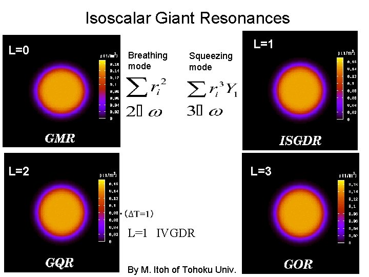 Isoscalar Giant Resonances L=0 Breathing mode Squeezing mode L=2 L=1 L=3 L=1　IVGDR By M.