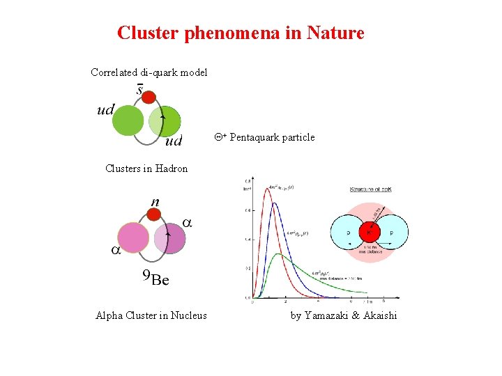 Cluster phenomena in Nature Correlated di-quark model　 Q+ Pentaquark particle Clusters in Hadron Alpha