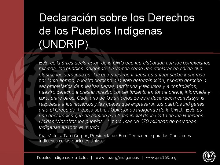 Declaración sobre los Derechos de los Pueblos Indígenas (UNDRIP) Esta es la única declaración