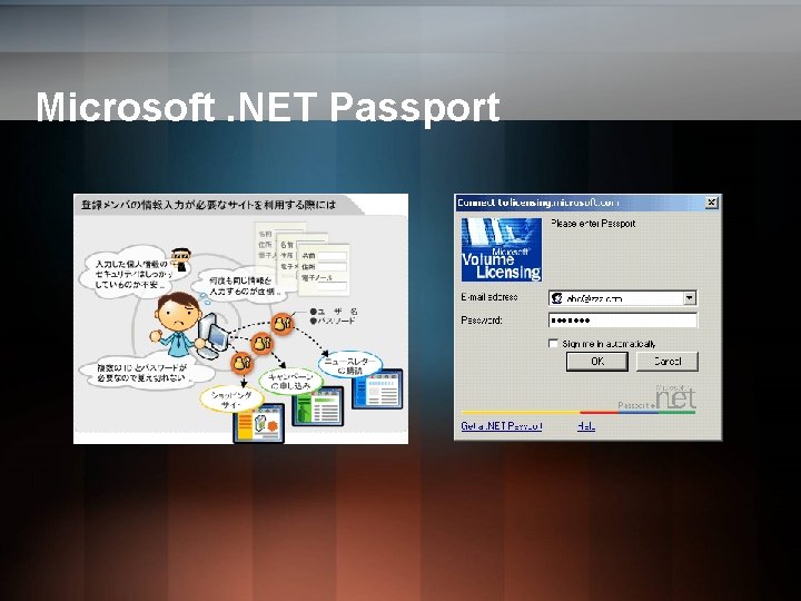 Microsoft. NET Passport Microsoft. NET Passport