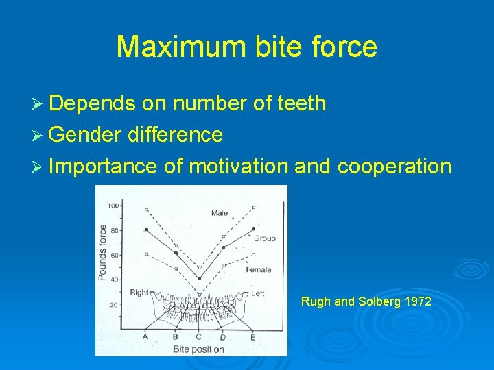 Maximum bite force Ø Depends on number of teeth Ø Gender difference Ø Importance
