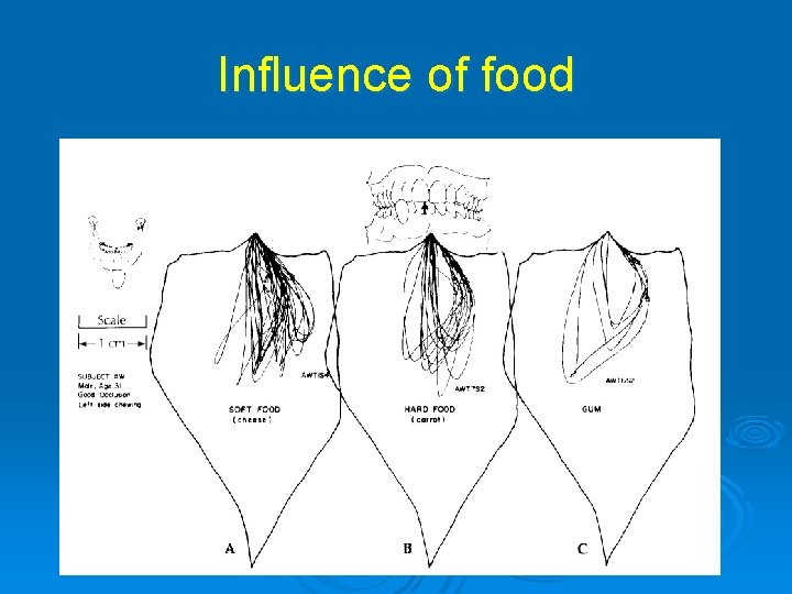 Influence of food 