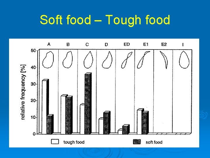 Soft food – Tough food 