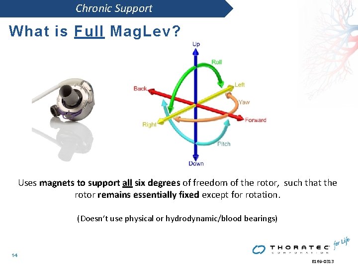 Chronic Support What is Full Mag. Lev? Uses magnets to support all six degrees Chronic Support What is Full Mag. Lev? Uses magnets to support all six degrees