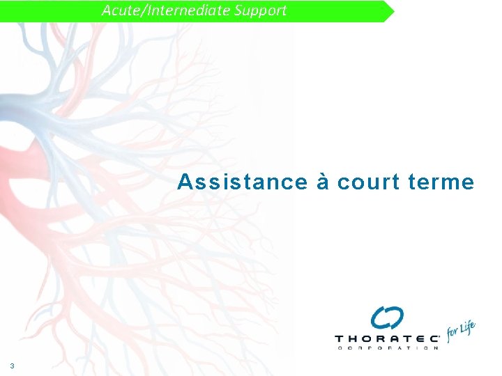 Acute/Internediate Support Assistance à court terme 3 3 Acute/Internediate Support Assistance à court terme 3 3