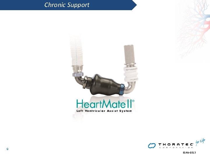 Chronic Support 9 B 169 -0313 Chronic Support 9 B 169 -0313