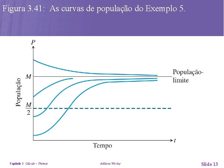 Figura 3. 41: As curvas de população do Exemplo 5. Capítulo 2 Cálculo –