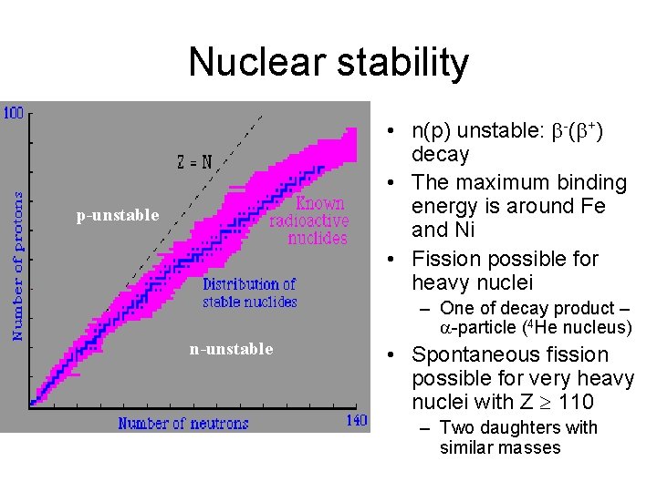 Nuclear stability • n(p) unstable: b-(b+) decay • The maximum binding energy is around