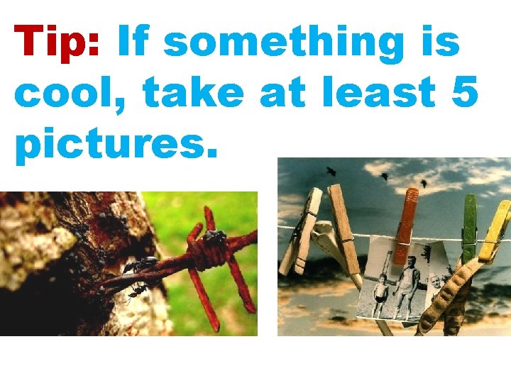 Tip: If something is cool, take at least 5 pictures. 