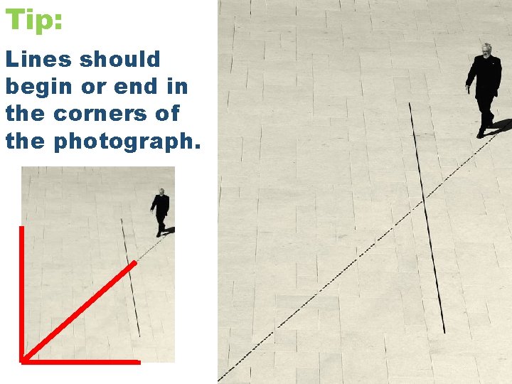 Tip: Lines should begin or end in the corners of the photograph. 