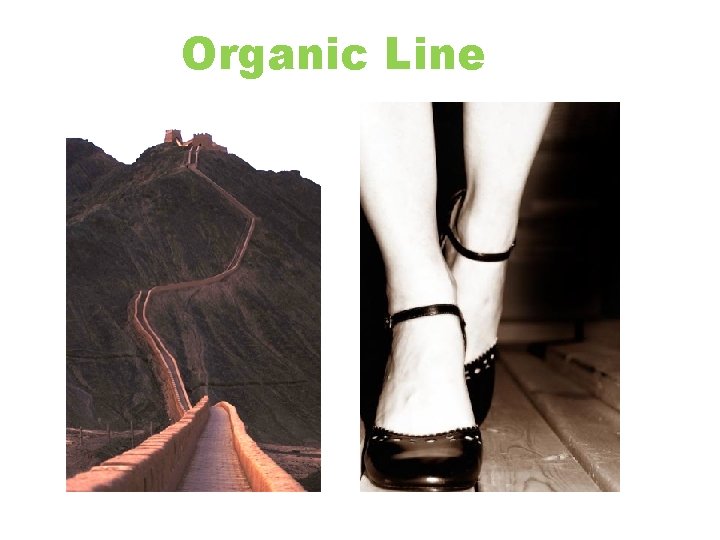 Organic Line 