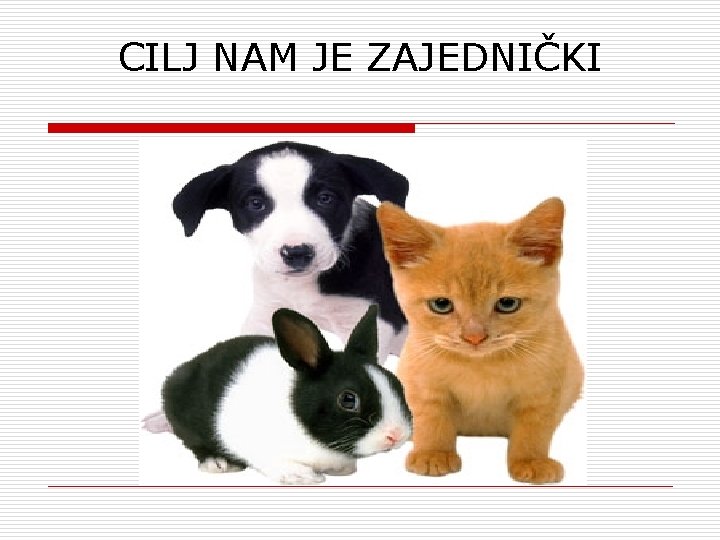 CILJ NAM JE ZAJEDNIČKI 