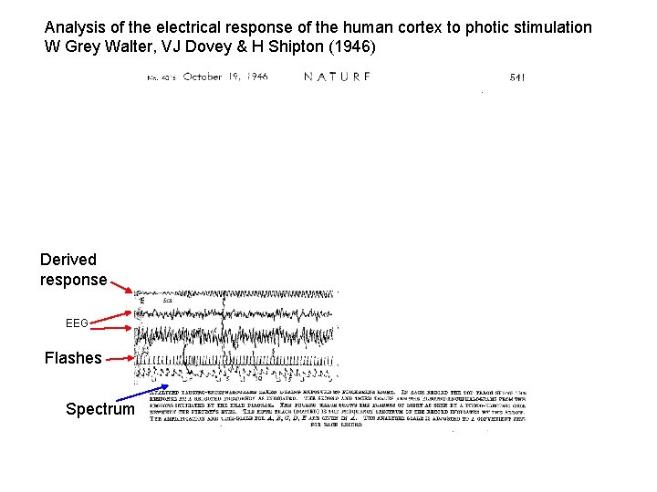 Analysis of the electrical response of the human cortex to photic stimulation W Grey