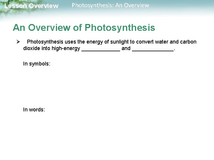 Lesson Overview Photosynthesis: An Overview of Photosynthesis Ø Photosynthesis uses the energy of sunlight