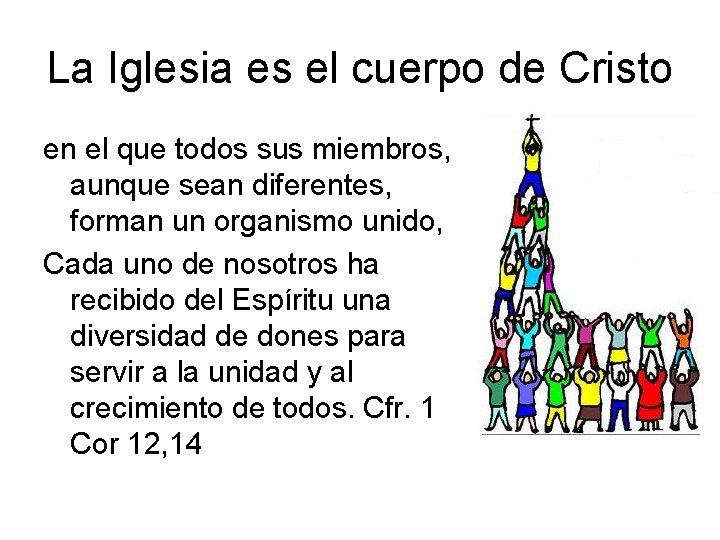 La Iglesia es el cuerpo de Cristo en el que todos sus miembros, aunque