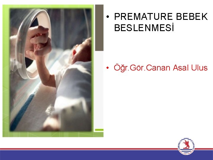  • PREMATURE BEBEK BESLENMESİ • Öğr. Gör. Canan Asal Ulus 