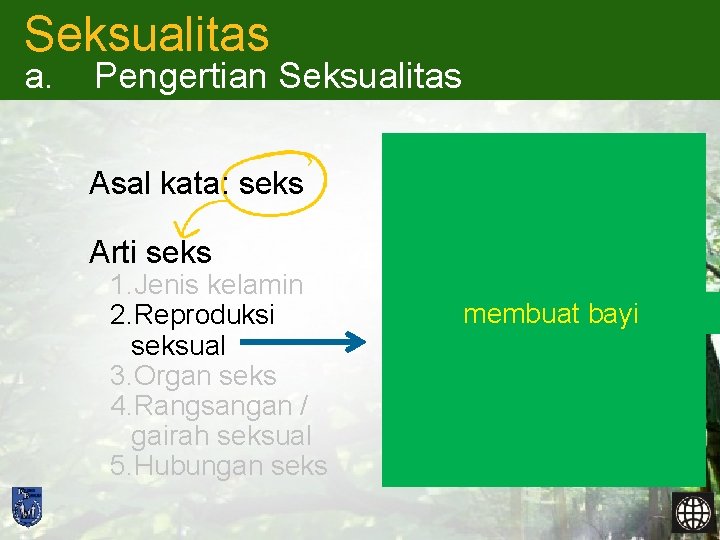 Seksualitas a. Pengertian Seksualitas Asal kata: seks Arti seks 1. Jenis kelamin 2. Reproduksi