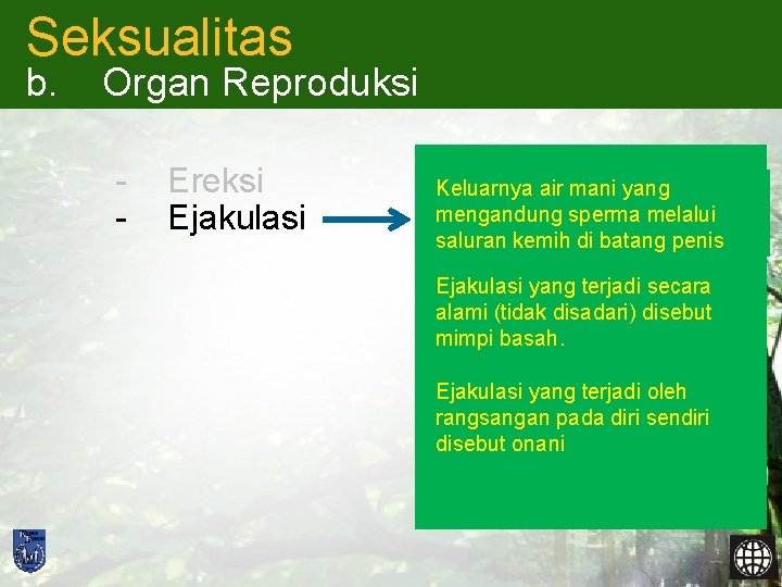 Seksualitas b. Organ Reproduksi - Ereksi Ejakulasi Keluarnya air mani yang mengandung sperma melalui