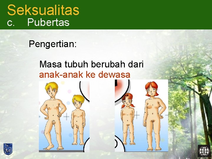 Seksualitas c. Pubertas Pengertian: Masa tubuh berubah dari anak-anak ke dewasa 