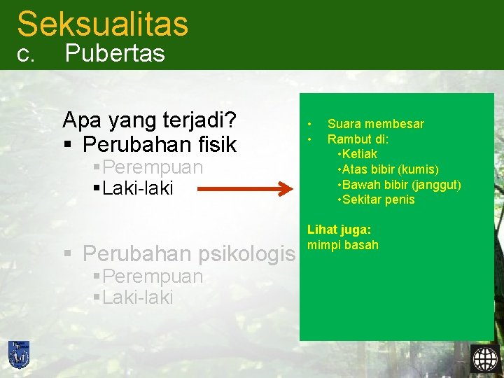 Seksualitas c. Pubertas Apa yang terjadi? § Perubahan fisik § Perempuan § Laki-laki §