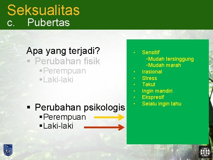 Seksualitas c. Pubertas Apa yang terjadi? § Perubahan fisik § Perempuan § Laki-laki §