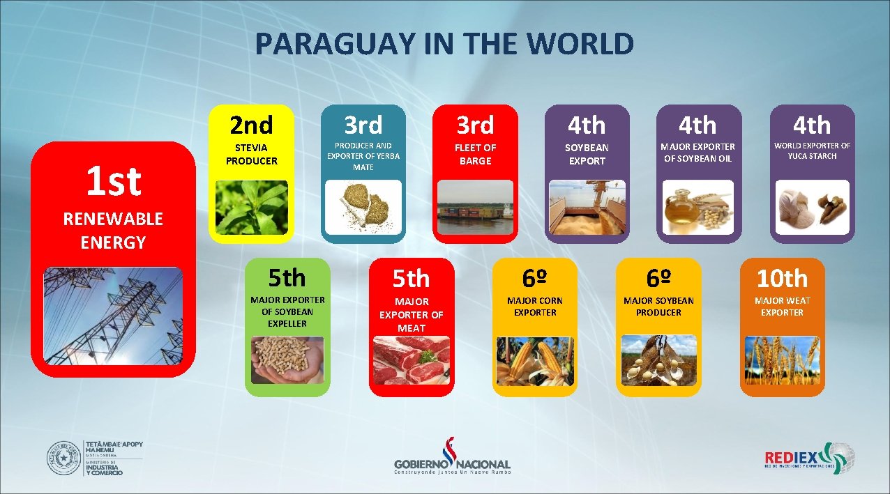 PARAGUAY IN THE WORLD 2 nd 1 st STEVIA PRODUCER 3 rd PRODUCER AND