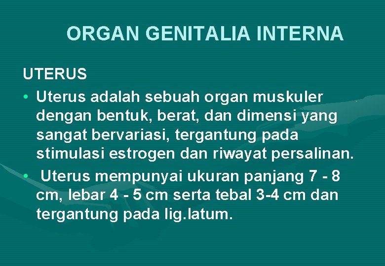 ORGAN GENITALIA INTERNA UTERUS • Uterus adalah sebuah organ muskuler dengan bentuk, berat, dan