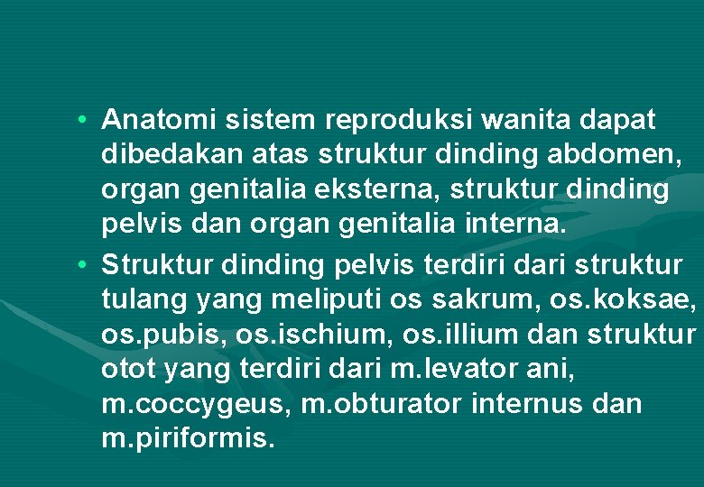  • Anatomi sistem reproduksi wanita dapat dibedakan atas struktur dinding abdomen, organ genitalia