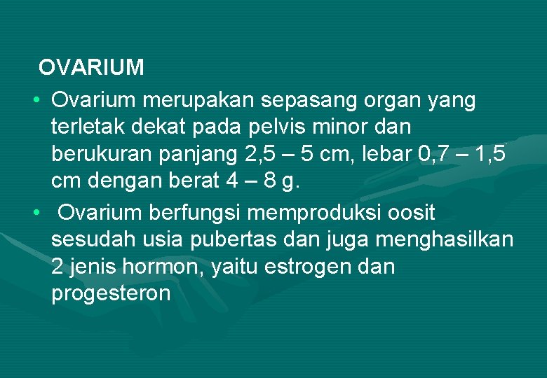 OVARIUM • Ovarium merupakan sepasang organ yang terletak dekat pada pelvis minor dan berukuran