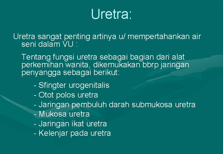 Uretra: Uretra sangat penting artinya u/ mempertahankan air seni dalam VU : Tentang fungsi
