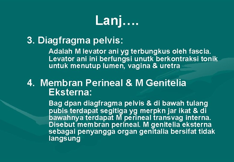 Lanj…. 3. Diagfragma pelvis: Adalah M levator ani yg terbungkus oleh fascia. Levator ani