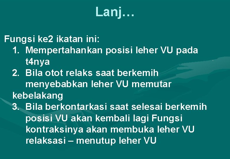 Lanj… Fungsi ke 2 ikatan ini: 1. Mempertahankan posisi leher VU pada t 4