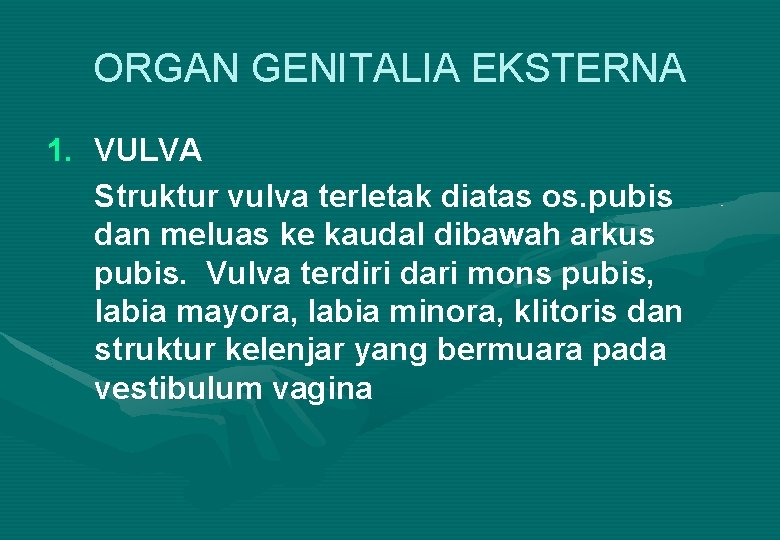 ORGAN GENITALIA EKSTERNA 1. VULVA Struktur vulva terletak diatas os. pubis dan meluas ke
