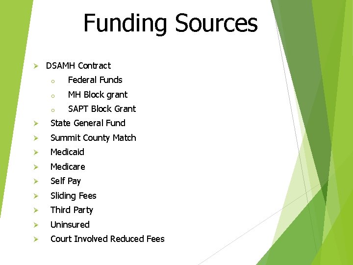 Funding Sources Ø DSAMH Contract o Federal Funds o MH Block grant o SAPT