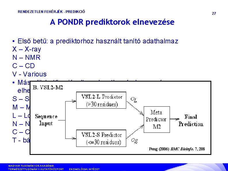 RENDEZETLEN FEHÉRJÉK - PREDIKCIÓ 27 A PONDR prediktorok elnevezése • Első betű: a prediktorhoz